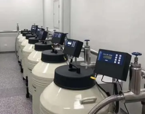 mve液氮罐 mve液氮罐
