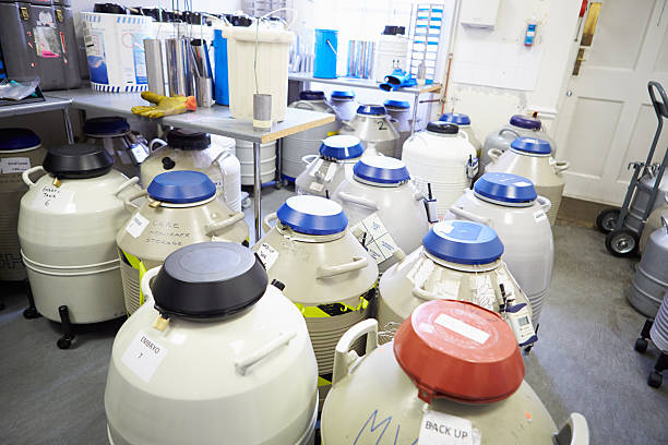 mve液氮罐 mve液氮罐